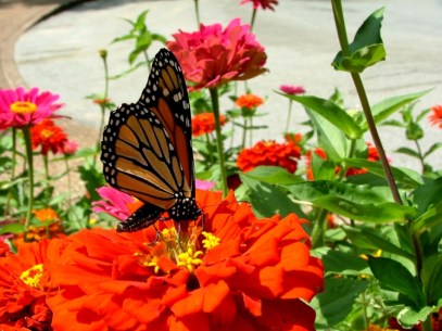 imagen Version de ti mismo